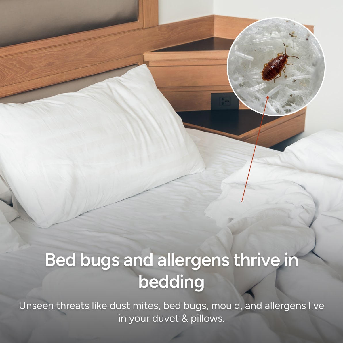 ZeroMite® Hygienic Washable Duvet — Cuddledown