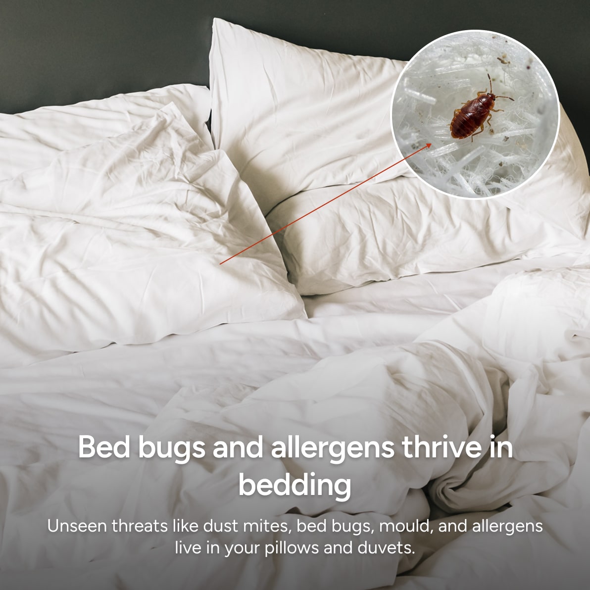 ZeroMite® Hygienic Washable Pillow