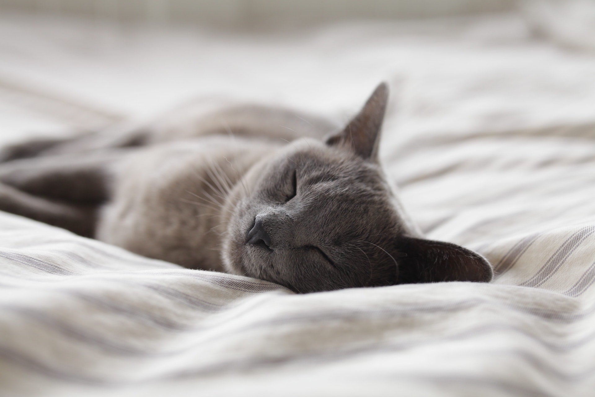 How to Sleep Better and Alleviate Neck Pain