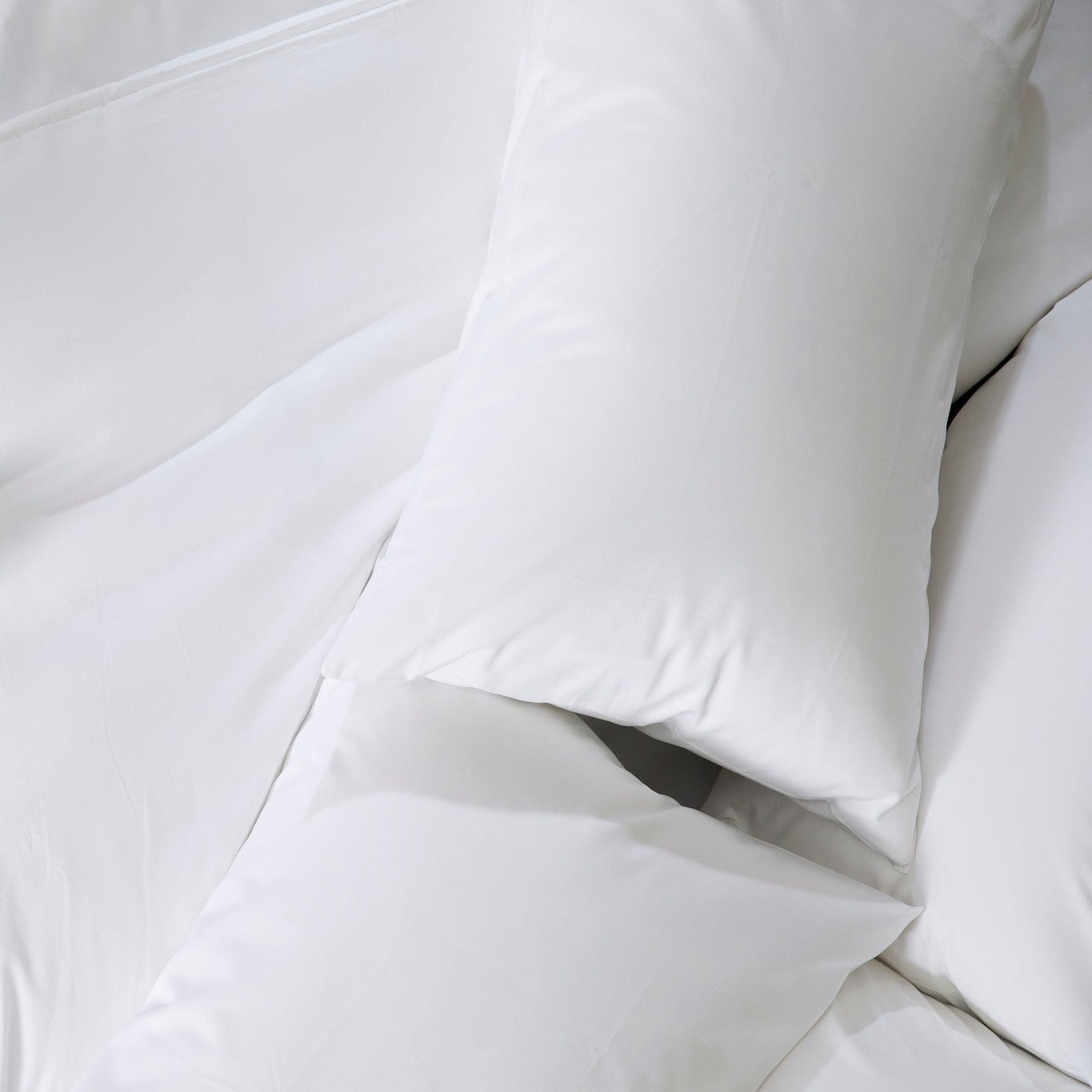 Cotton Percale Pillowcase — Cuddledown