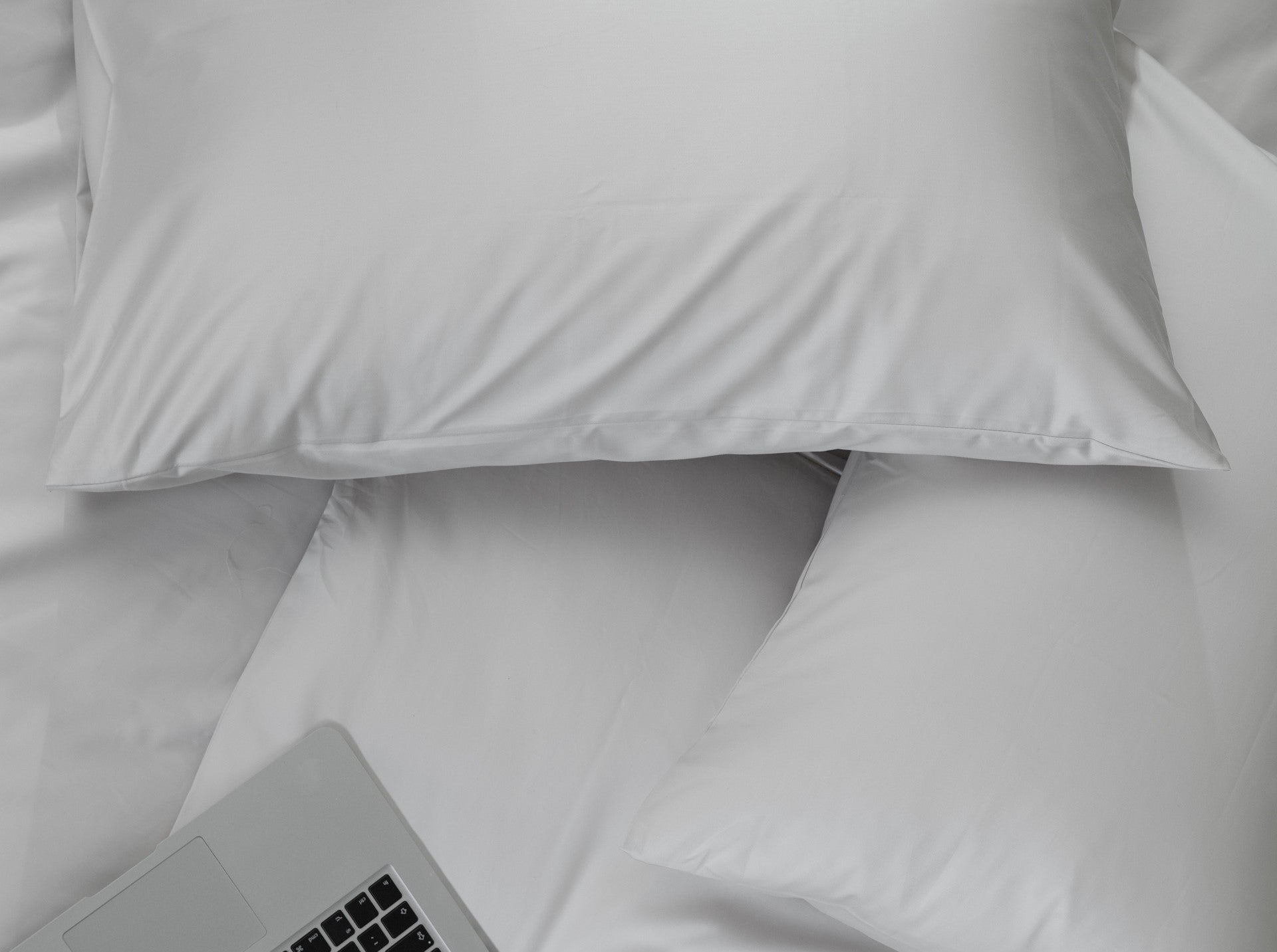 Cotton Percale Pillowcase — Cuddledown