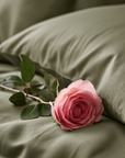 600 Thread Count - Cotton Sateen Pillowcase — Cuddledown