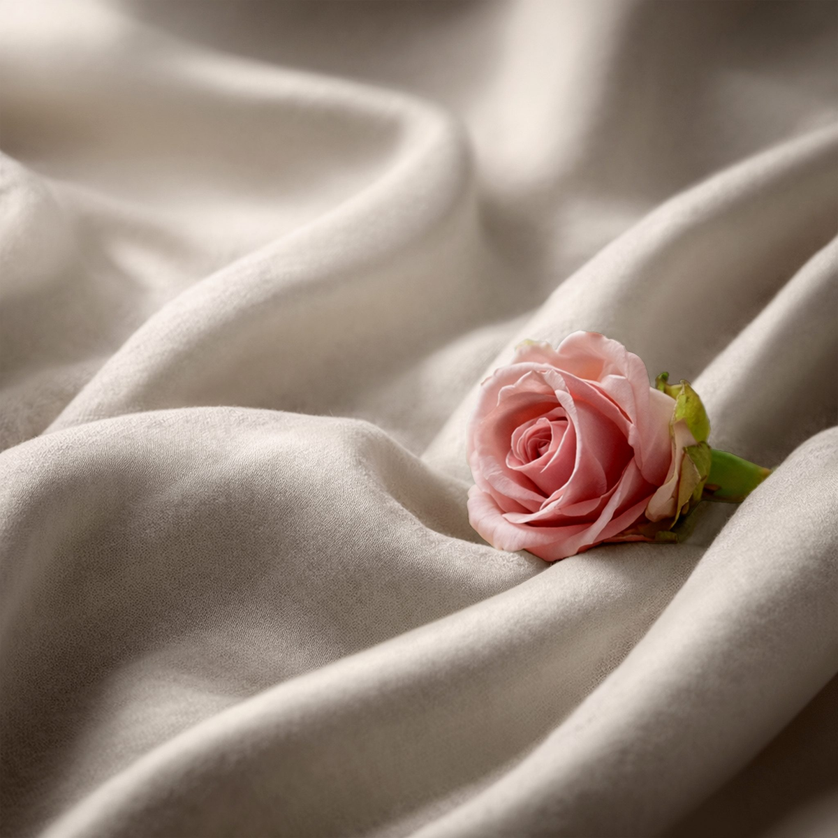 Close-up of Cuddledown cotton sateen fabric in Sand showing its soft sheen, with a pink rose