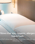 ZeroMite® Hygienic Washable Pillow